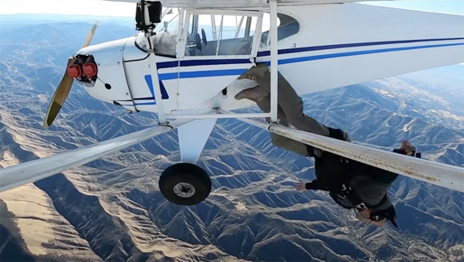 Pilot In Crash Had Fake Id